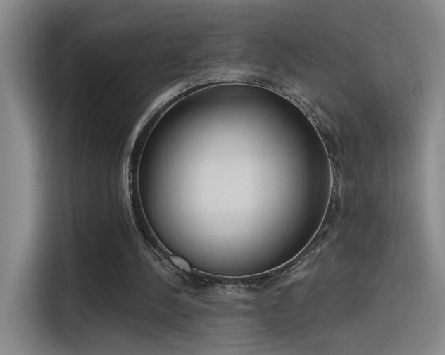 X0000115400244200911101518