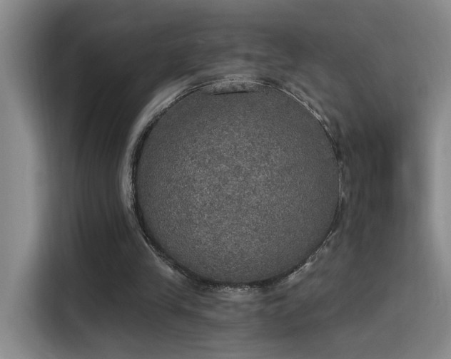 X0000115400245200911101518