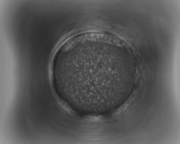 X0000115400247200911101518