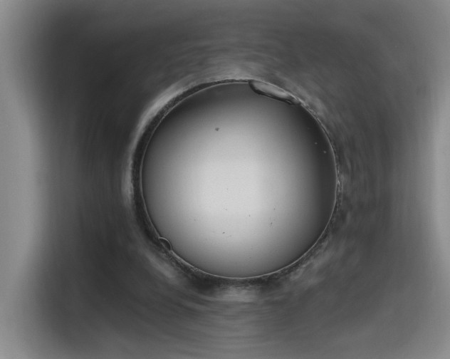 X0000115400248200911101518