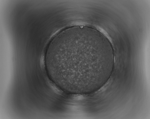 X0000115400249200911101518