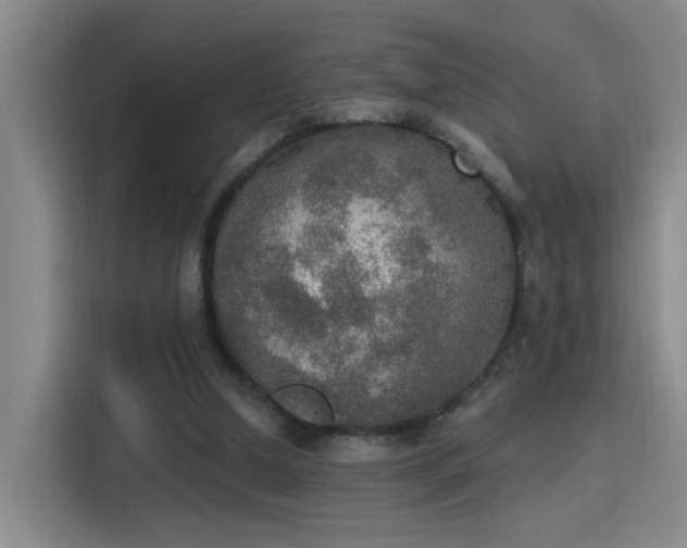 X0000115400250200911101518