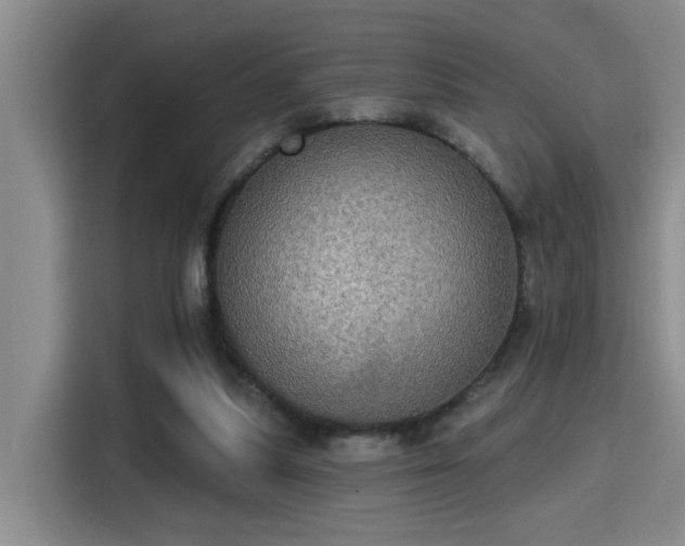X0000115400251200911101518