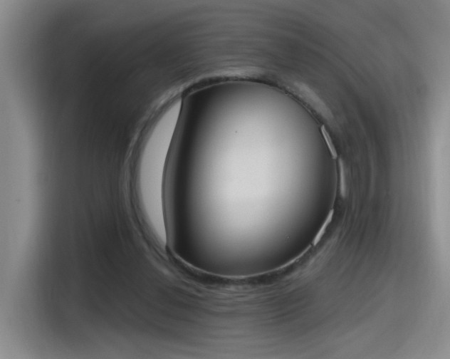 X0000115400252200911101518