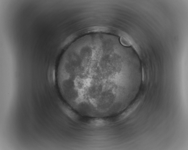 X0000115400253200911101518