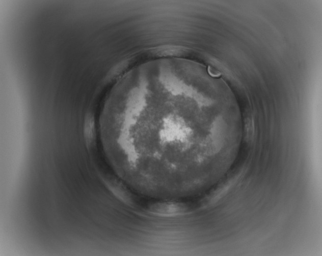 X0000115400254200911101518