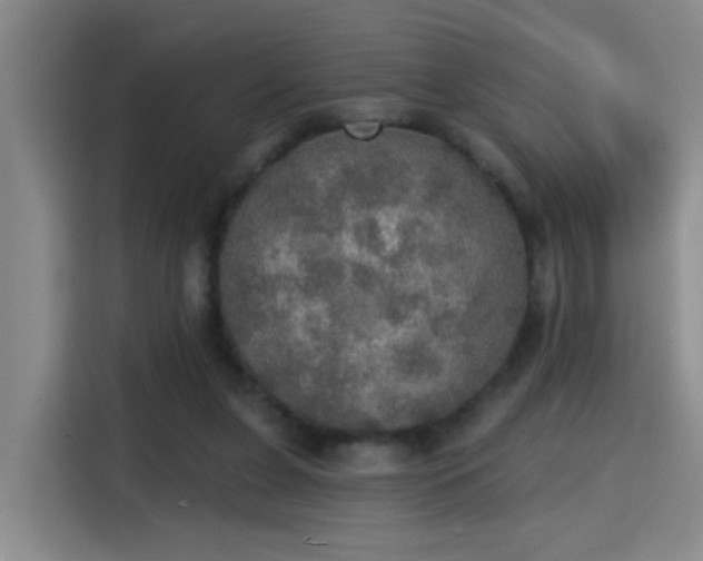 X0000115400255200911101518