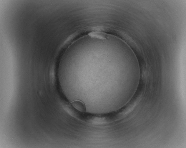 X0000115400256200911101518