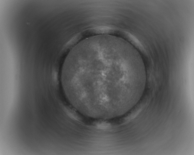 X0000115400258200911101518