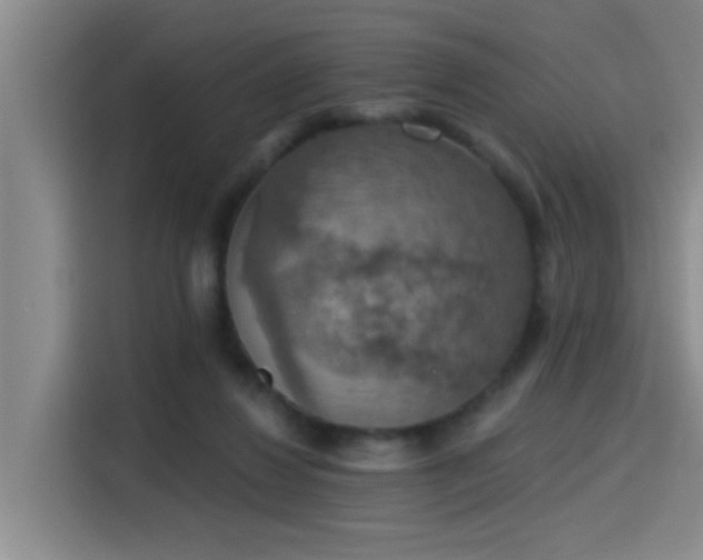 X0000115400260200911101518