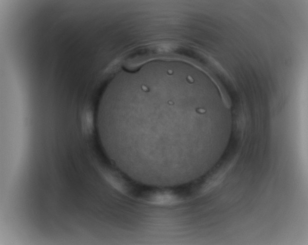 X0000115400262200911101518