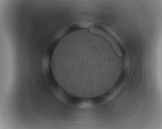 X0000115400263200911101518