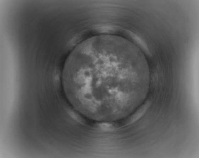 X0000115400265200911101518