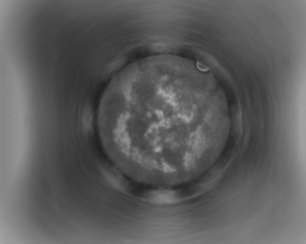 X0000115400266200911101518