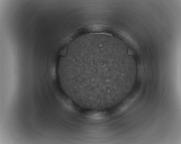 X0000115400267200911101518