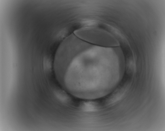 X0000115400268200911101518