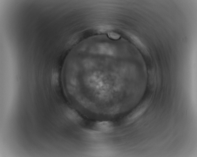 X0000115400269200911101518