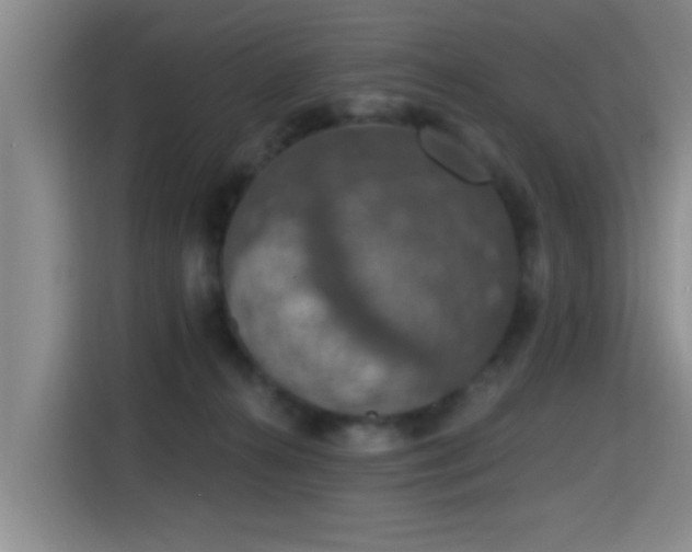 X0000115400272200911101518