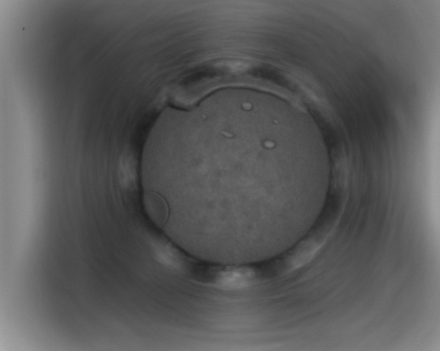 X0000115400274200911101518