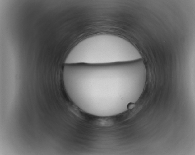X0000115400275200911101518