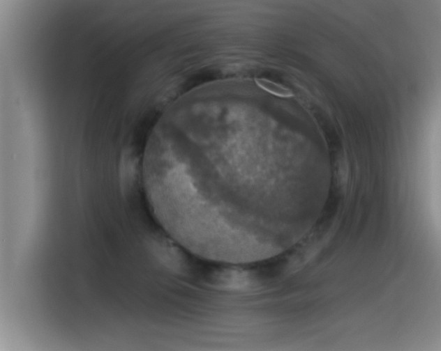 X0000115400276200911101518