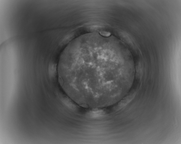 X0000115400278200911101518