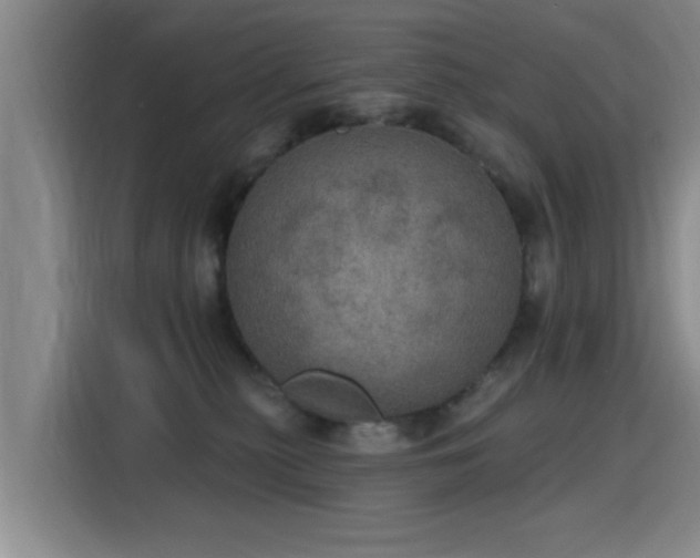 X0000115400279200911101518