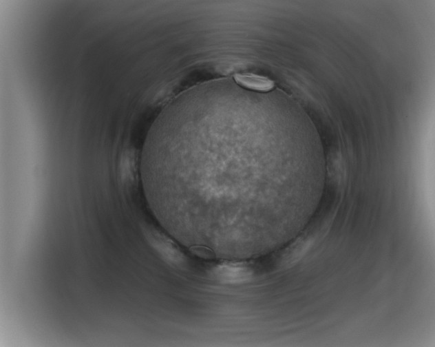 X0000115400280200911101518