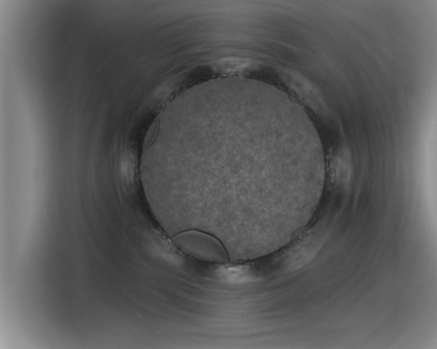 X0000115400283200911101518