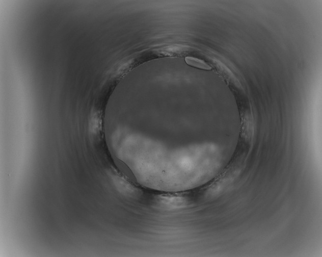 X0000115400284200911101518
