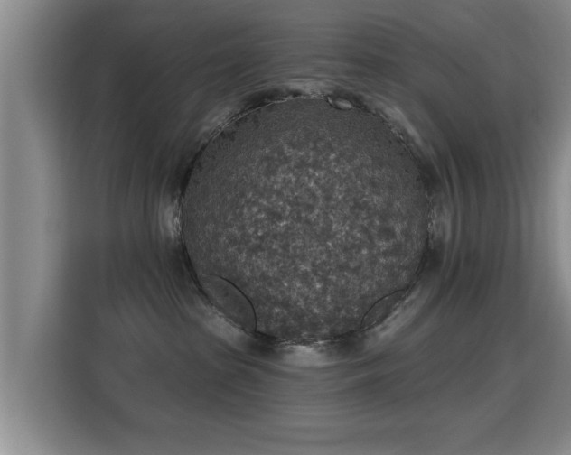 X0000115400285200911101518