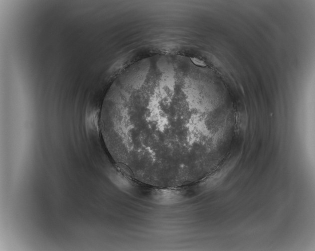X0000115400286200911101518