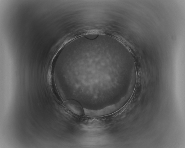 X0000115400290200911101518