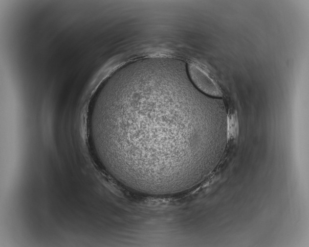 X0000115400291200911101518