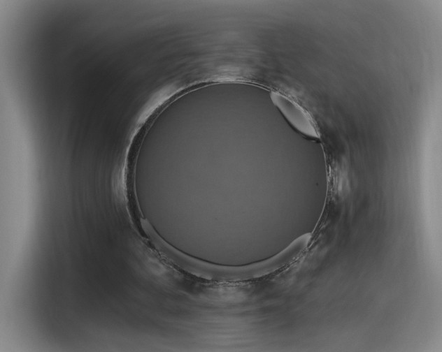 X0000115400292200911101518