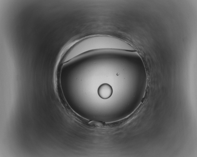X0000115400294200911101518