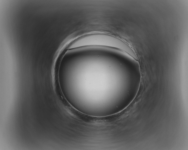 X0000115400296200911101518
