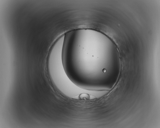 X0000115400297200911101518