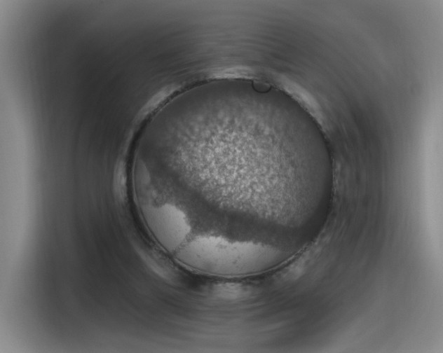 X0000115400298200911101518