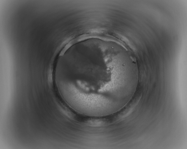 X0000115400299200911101518