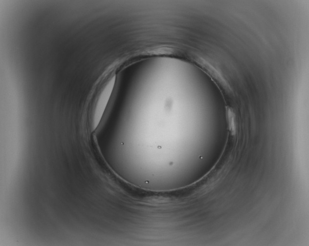 X0000115400300200911101518