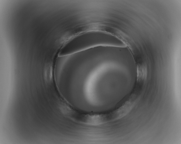 X0000115400301200911101518