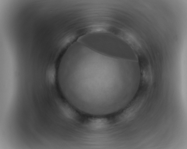 X0000115400304200911101517