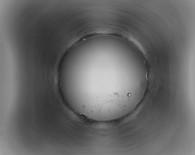 X0000115400305200911101517