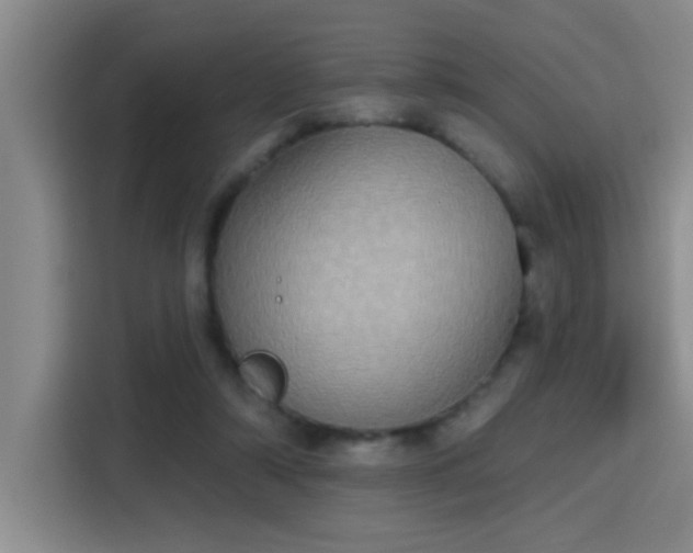 X0000115400306200911101517