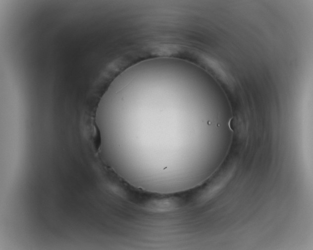 X0000115400307200911101517