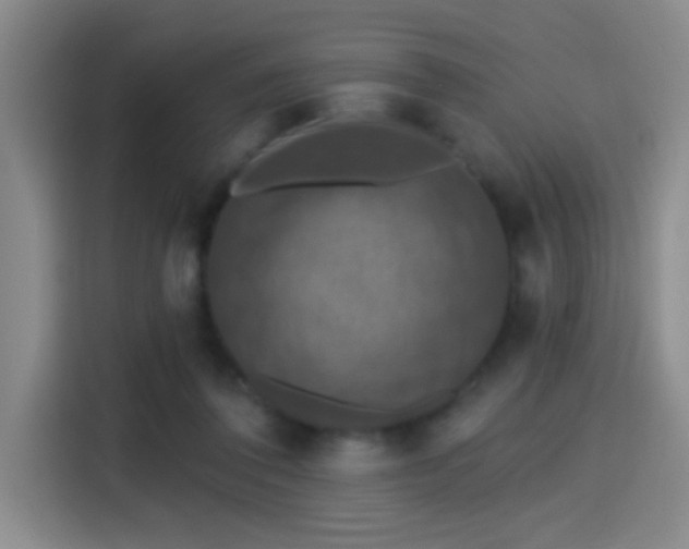 X0000115400308200911101517