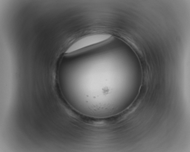 X0000115400309200911101517