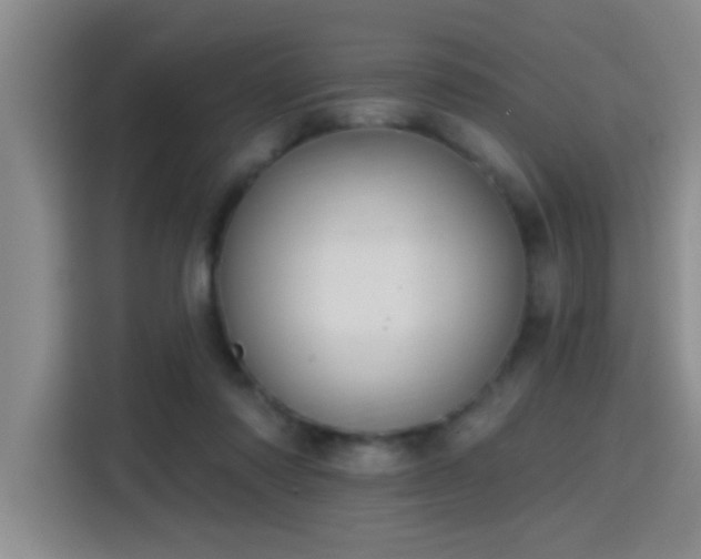 X0000115400310200911101517