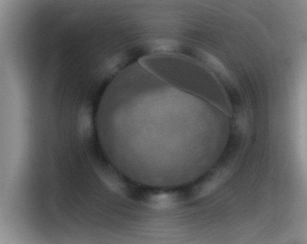 X0000115400312200911101517